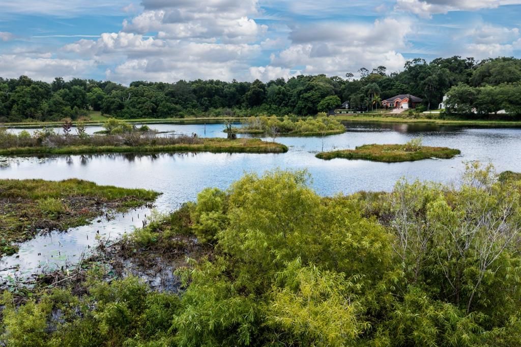 Lake Franklin