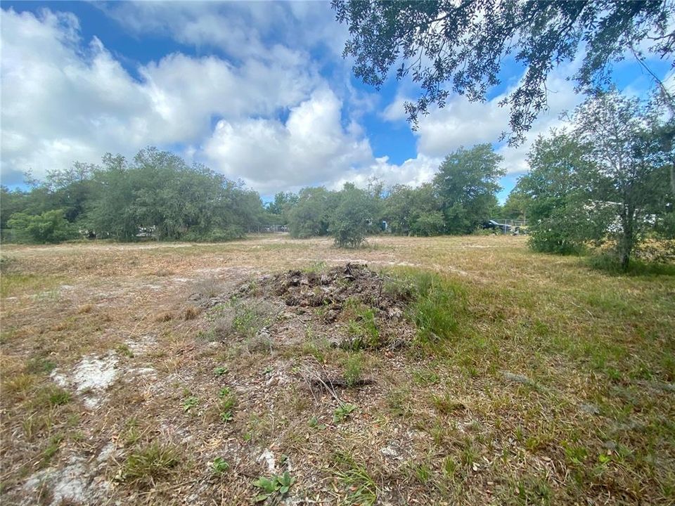 Recently Sold: $38,500 (1.17 acres)