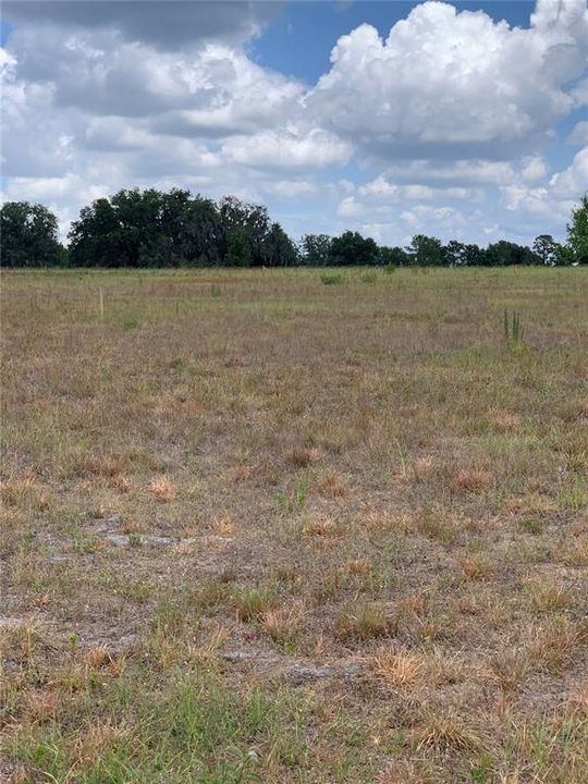 Recently Sold: $170,000 (4.60 acres)