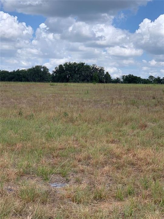 Recently Sold: $170,000 (4.60 acres)