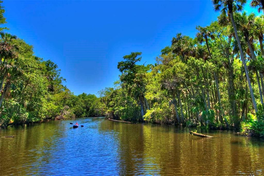 Spruce Creek Waterway