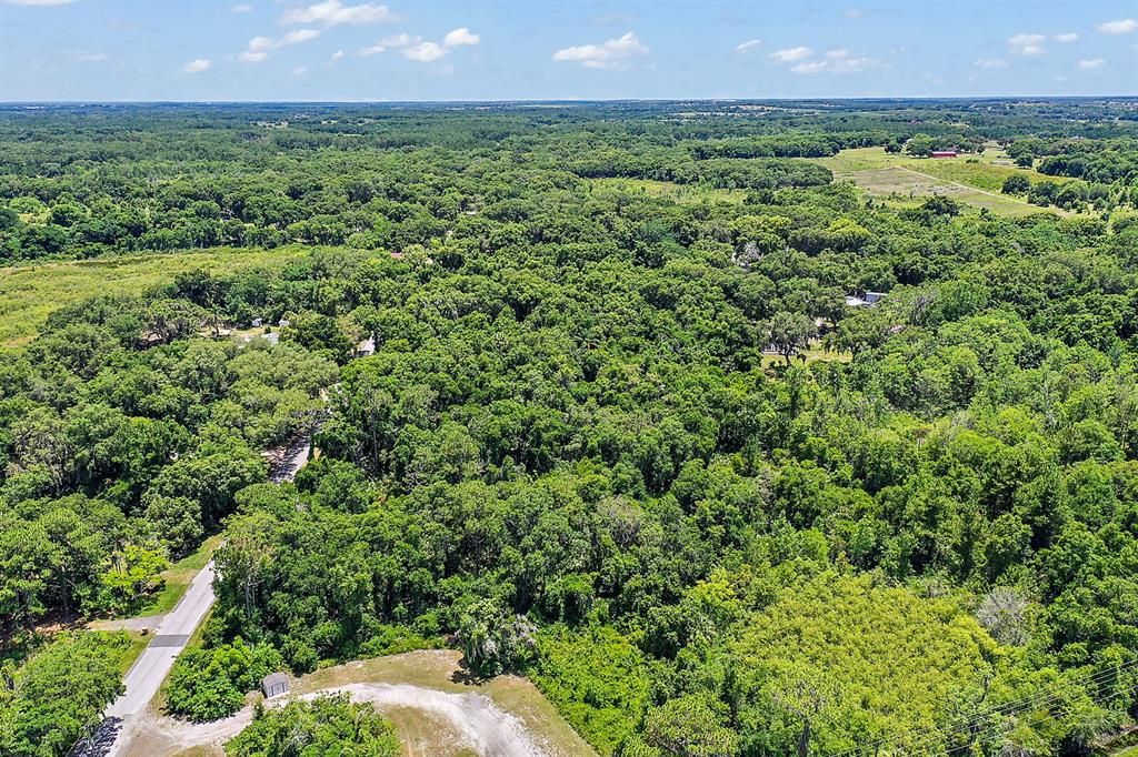 This property is located within a short distance to Lake Harris, known for fishing, boating and abundant wildlife.
