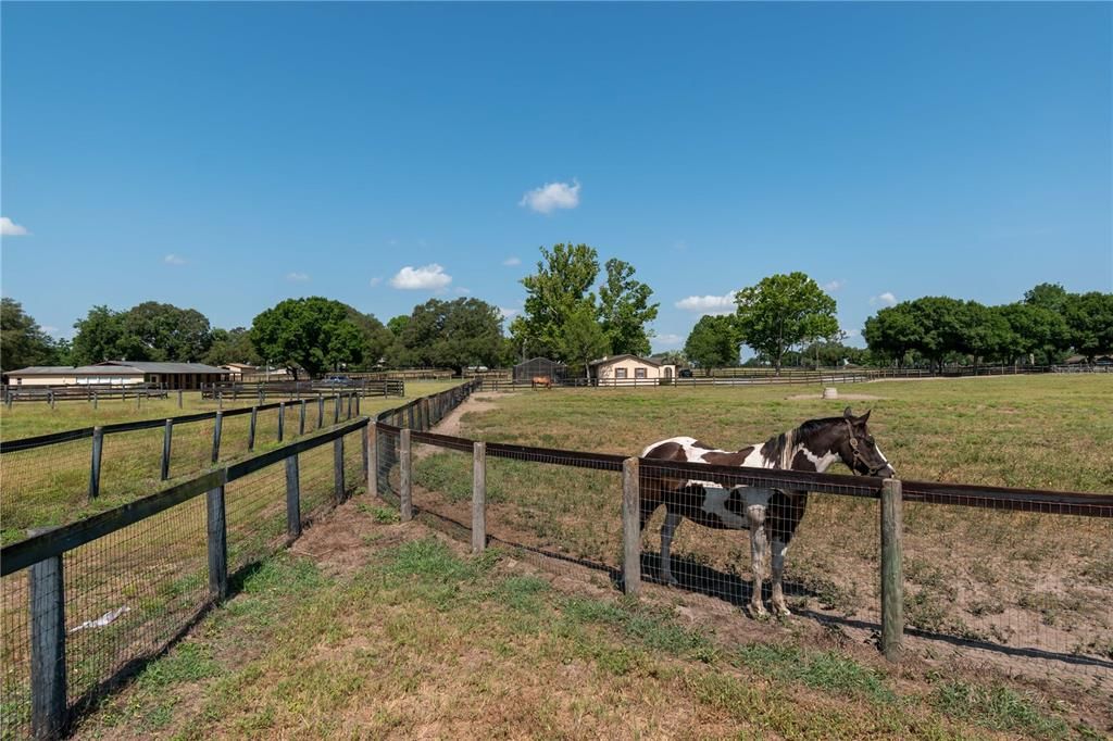 Vendido Recientemente: $795,000 (3 camas, 2 baños, 1686 Pies cuadrados)