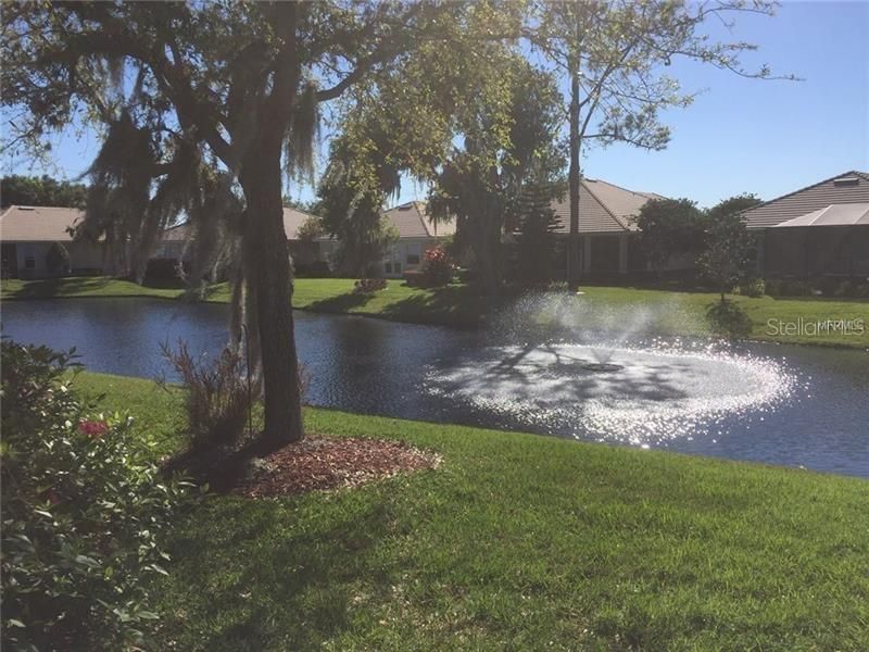 Pond View from Lanai