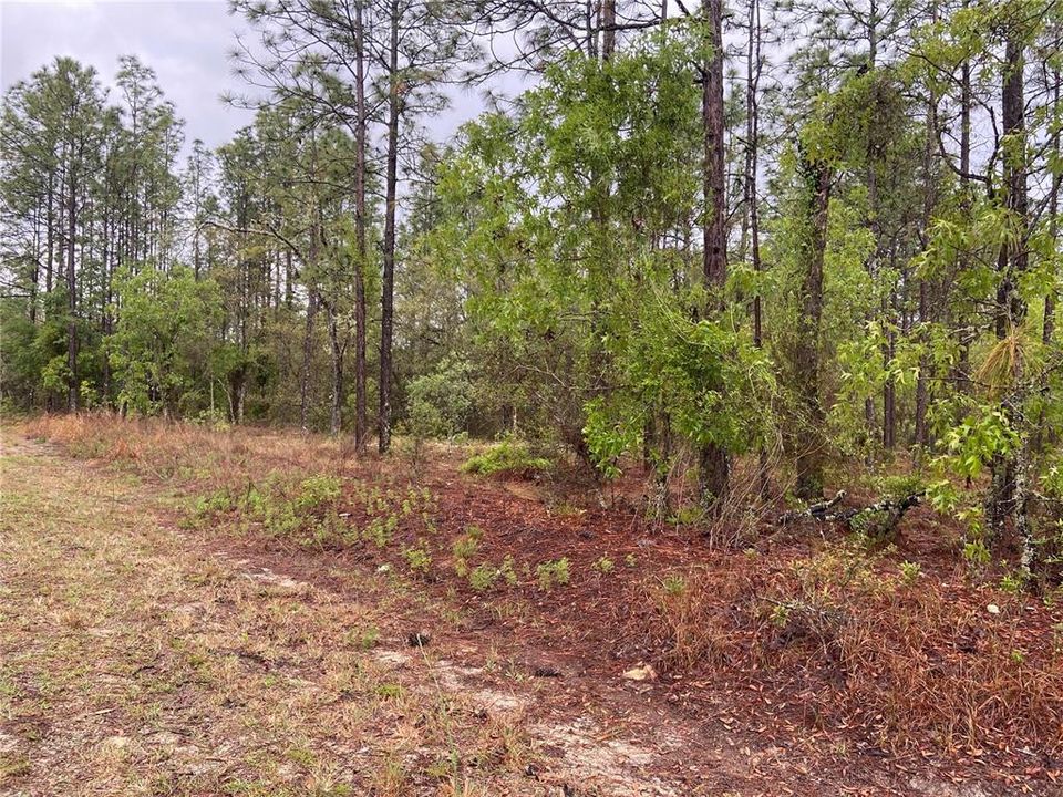 Recently Sold: $20,000 (1.98 acres)