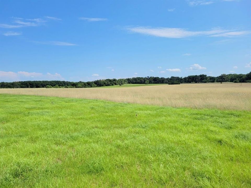 Recently Sold: $170,000 (10.00 acres)