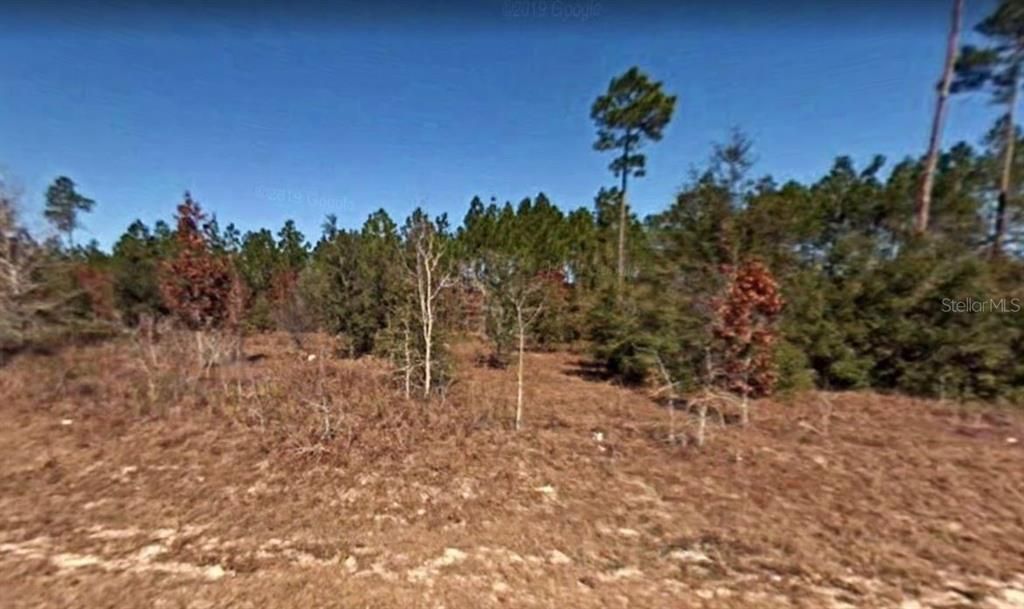 Recently Sold: $54,999 (5.00 acres)
