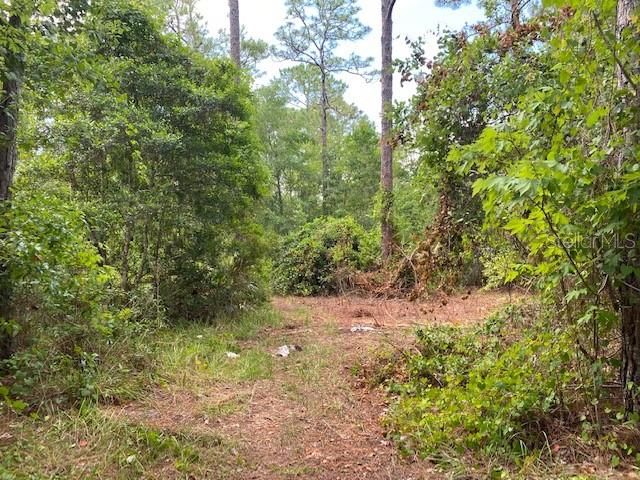 Recently Sold: $25,000 (0.30 acres)
