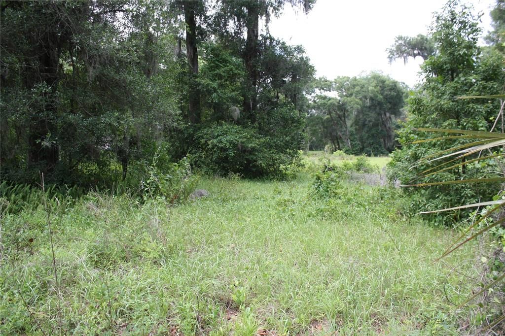 Recently Sold: $150,000 (2.51 acres)