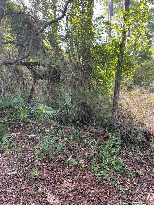 Recently Sold: $32,900 (0.48 acres)