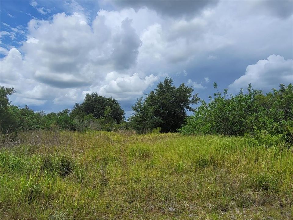 Recently Sold: $149,000 (12.68 acres)