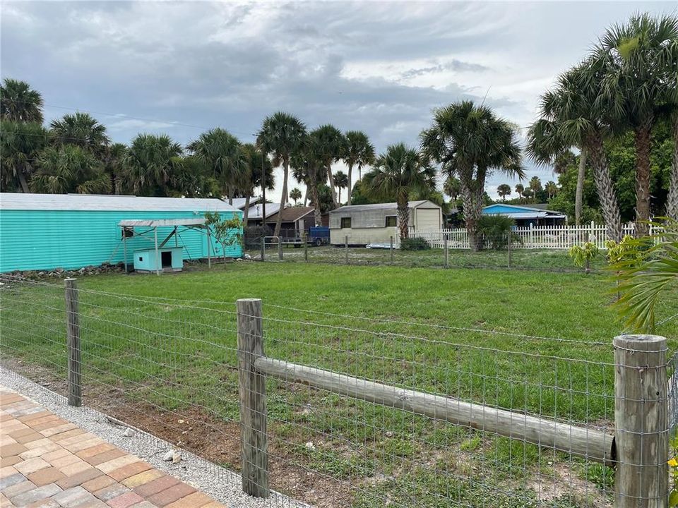 Pet area fenced in with mango trees