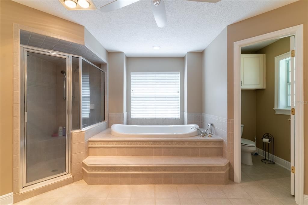 Oversized jetted tub