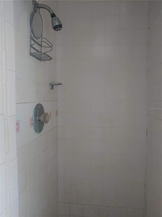 Master Shower (Block House)