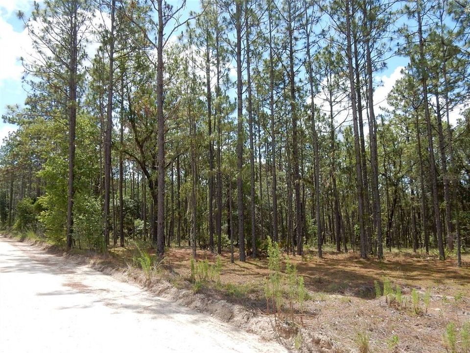 Vendido Recientemente: $30,000 (2.58 acres)