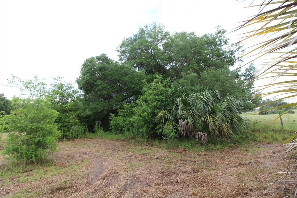 Vendido Recientemente: $34,900 (2.01 acres)