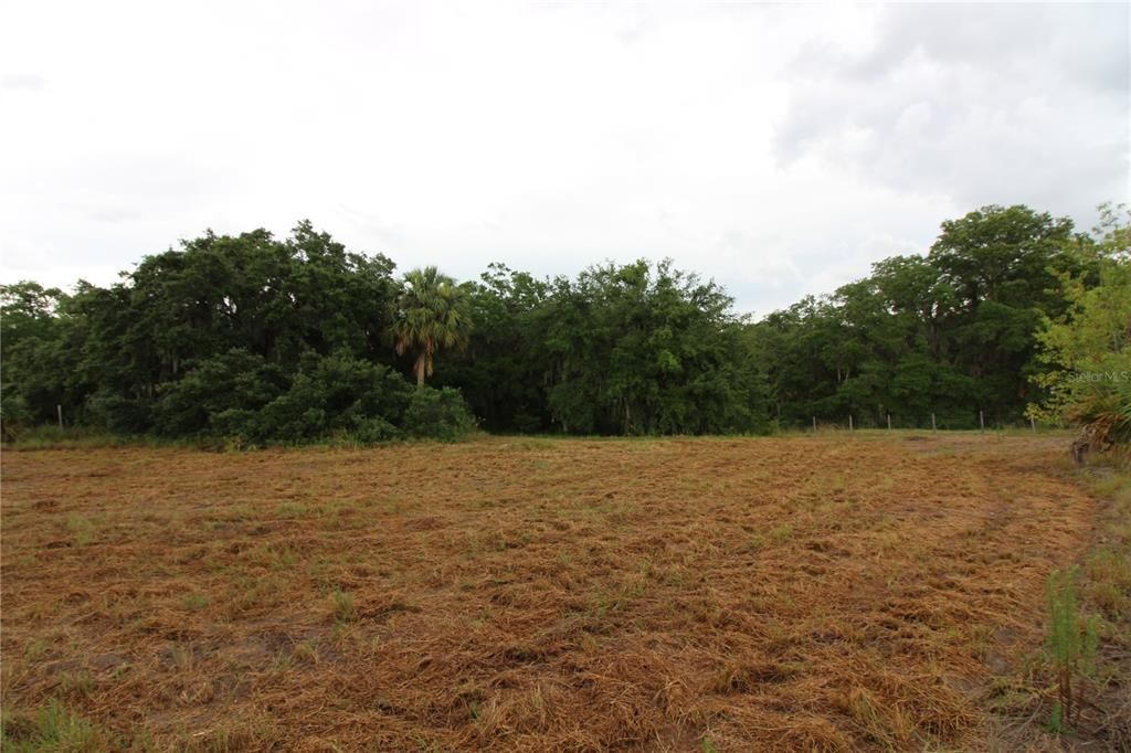 Vendido Recientemente: $34,900 (2.01 acres)