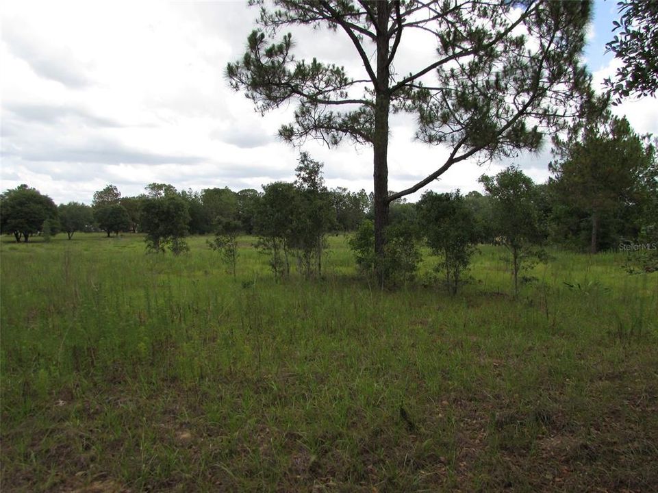 Recently Sold: $24,500 (2.00 acres)