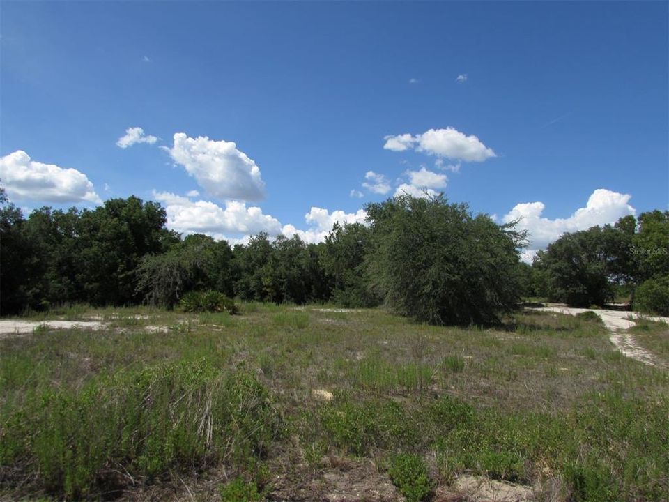 Recently Sold: $15,900 (0.99 acres)