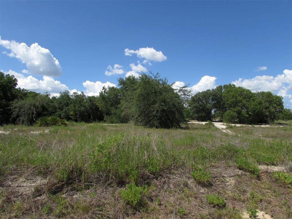 Recently Sold: $15,900 (0.99 acres)