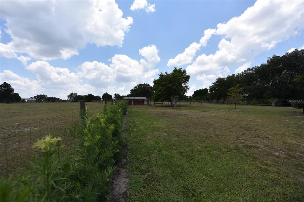 Side Fence Line