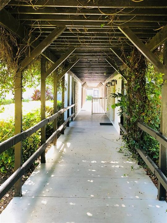 Vine-covered walkway leading to pool entrance and clubhouse on the right