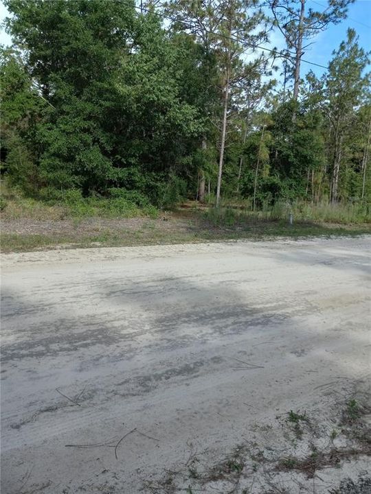 Recently Sold: $7,500 (0.46 acres)