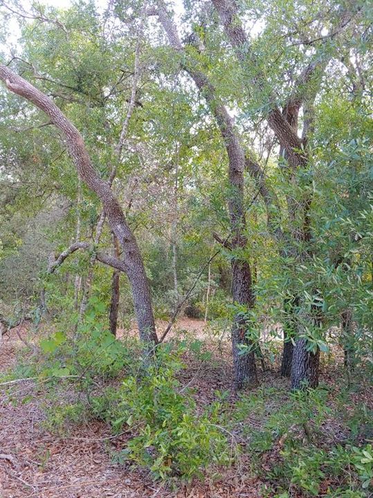 Recently Sold: $15,000 (0.66 acres)