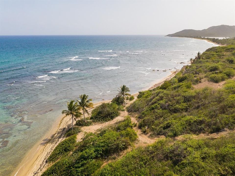 For Sale: $3,400,000 (10.70 acres)