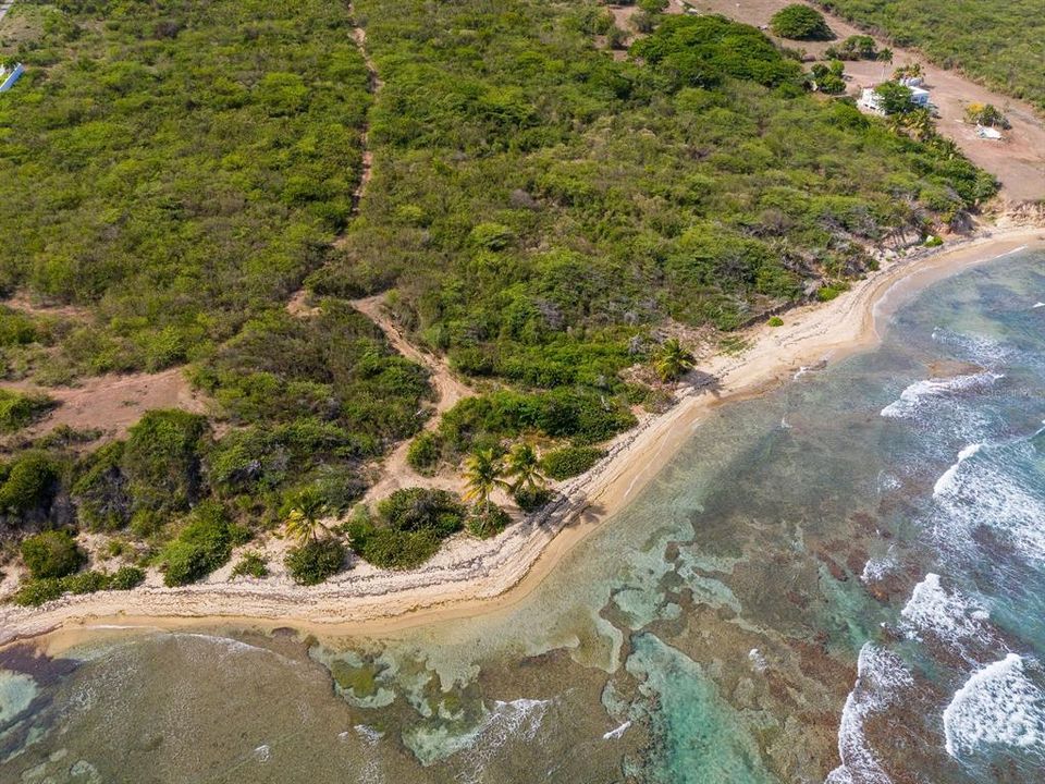 For Sale: $3,400,000 (10.70 acres)