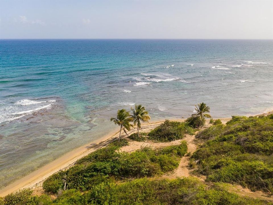 For Sale: $3,400,000 (10.70 acres)