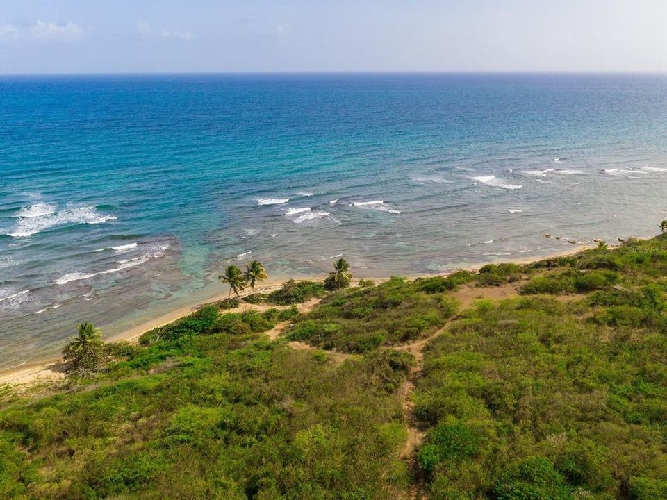 For Sale: $3,400,000 (10.70 acres)