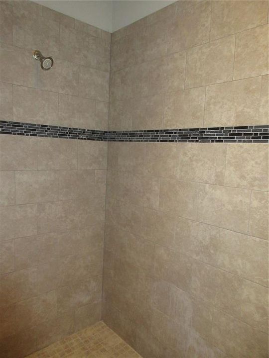Large walk-in shower with dual heads