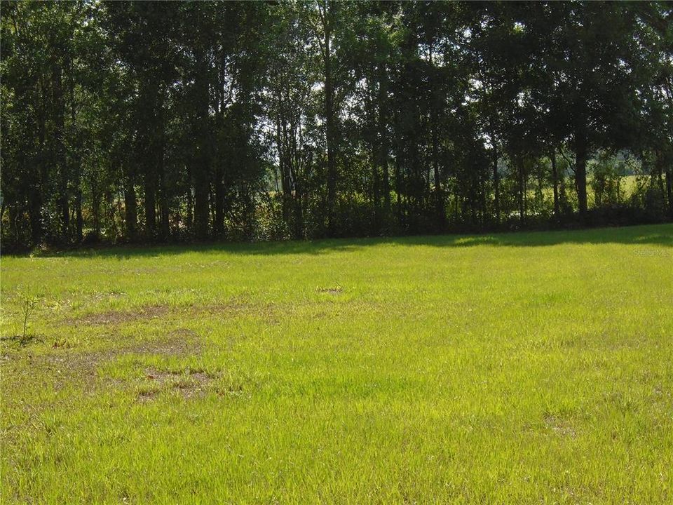 Recently Sold: $175,000 (5.00 acres)