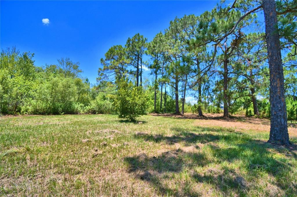 Recently Sold: $180,000 (4.26 acres)