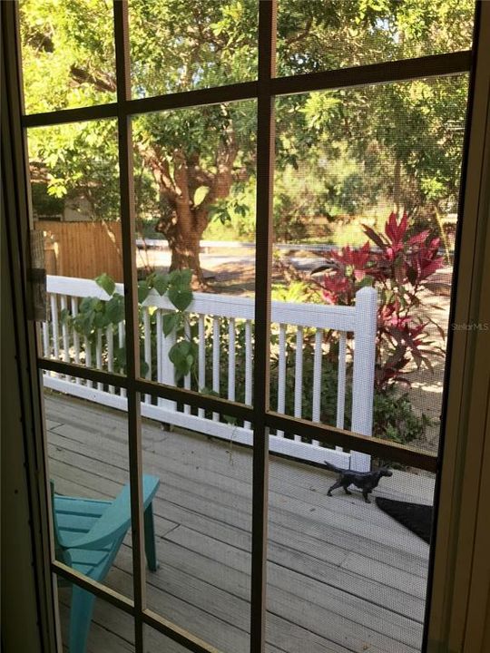 Screen door at front overlooking lush front yard and front deck.