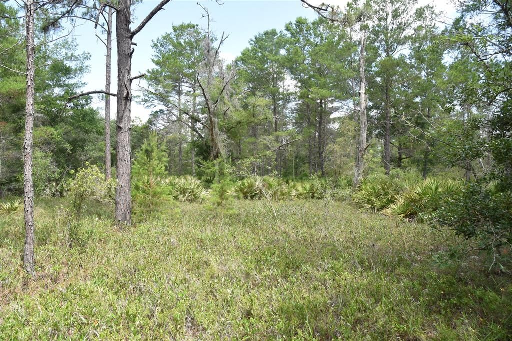 Recently Sold: $209,000 (42.08 acres)