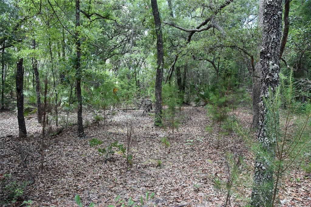 Recently Sold: $209,000 (42.08 acres)