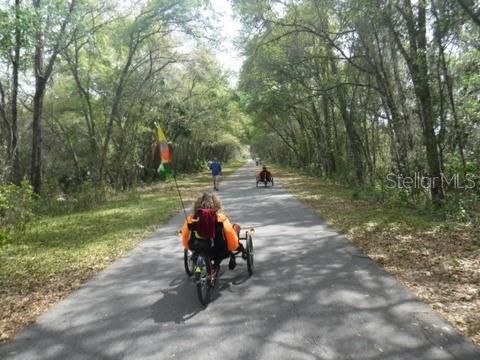 Withlacoochee trail. Several access points.