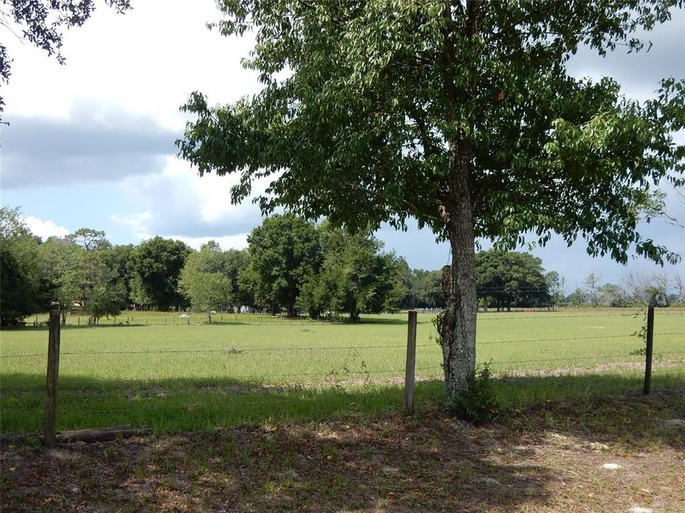 Vendido Recientemente: $79,500 (7.79 acres)