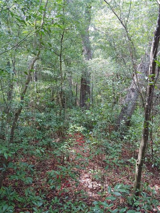 Recently Sold: $49,900 (1.21 acres)