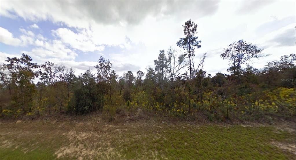 Recently Sold: $4,800 (0.23 acres)