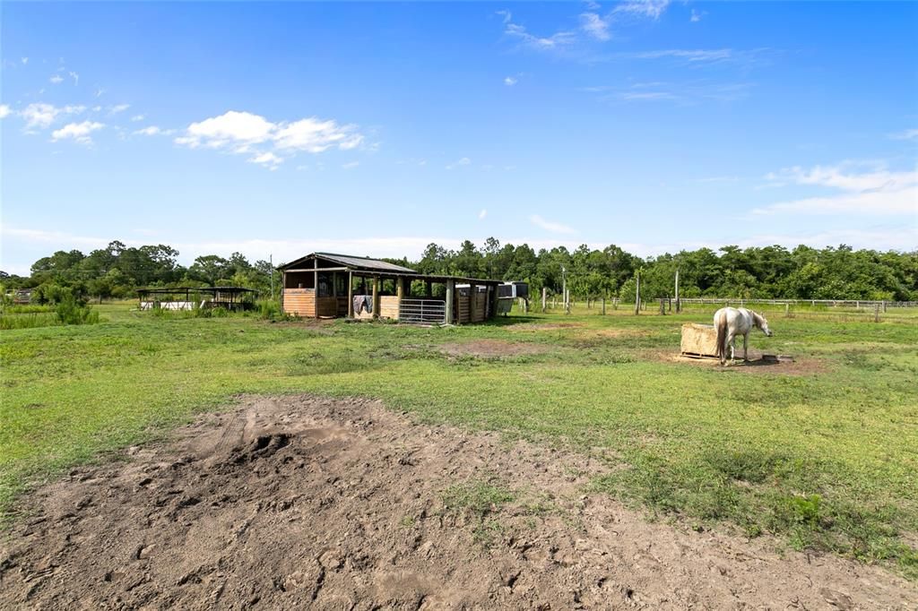 4 Horse Stall Barn ready for your horses to enjoy their freedom!