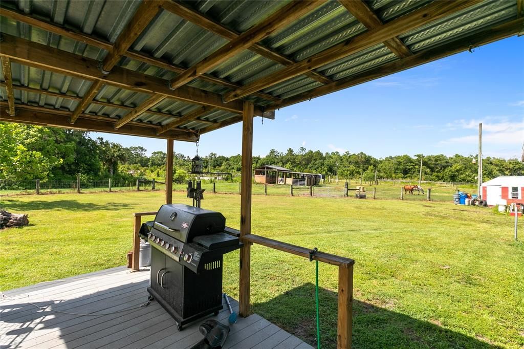 Great view from the back porch