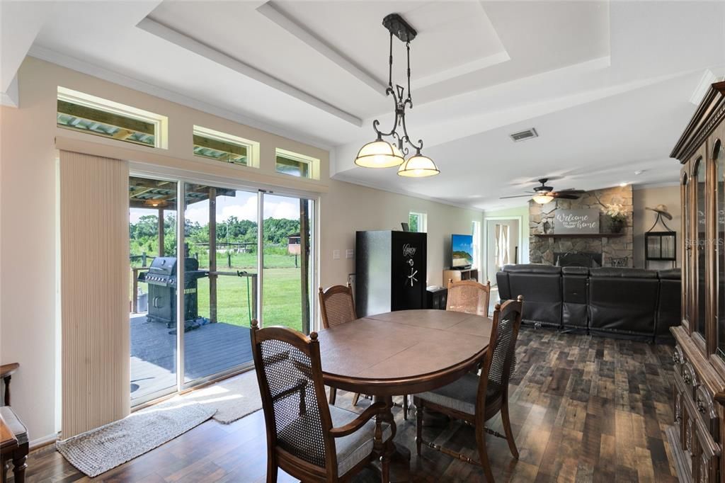 Great view from the dining room & custom tray ceilings!