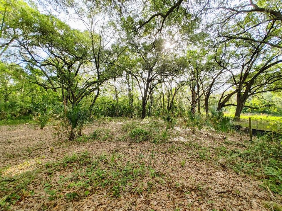 Active With Contract: $1,785,000 (11.60 acres)