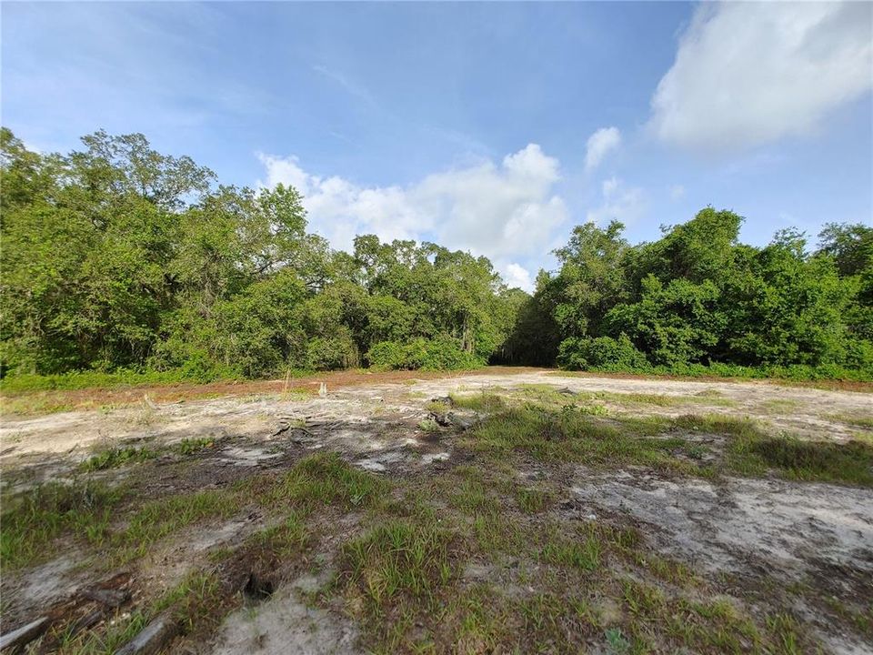 Active With Contract: $1,785,000 (11.60 acres)