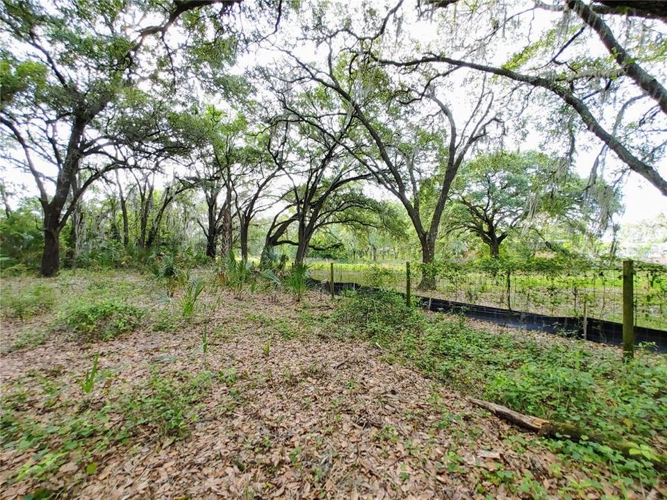 Active With Contract: $1,785,000 (11.60 acres)