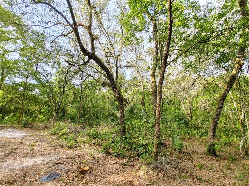 Active With Contract: $1,785,000 (11.60 acres)