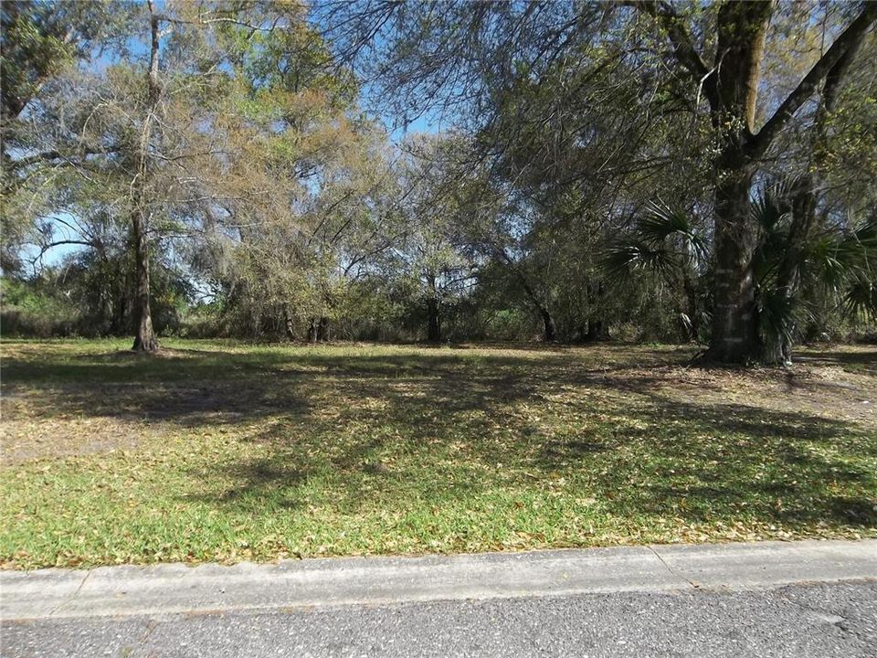 Recently Sold: $6,900 (0.19 acres)